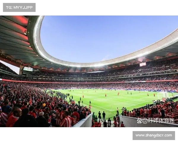 如何了解拜仁慕尼黑主场球场名称及其背后的历史与意义