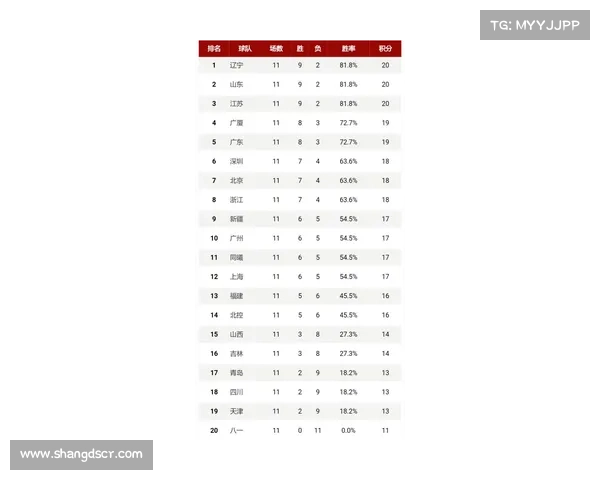 五大联赛特色与差异全面解析对比指南
