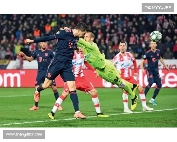 全面解析五大联赛与全球其他足球联赛的结构与竞争差异全貌呈现篇