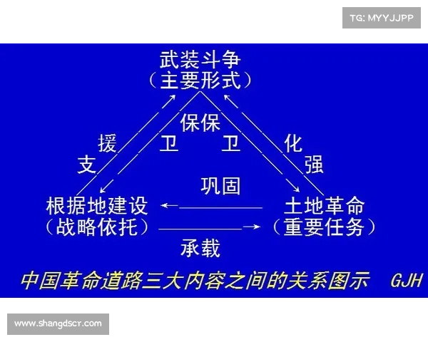 奥林匹亚科斯成功之道：五大关键因素解析与启示